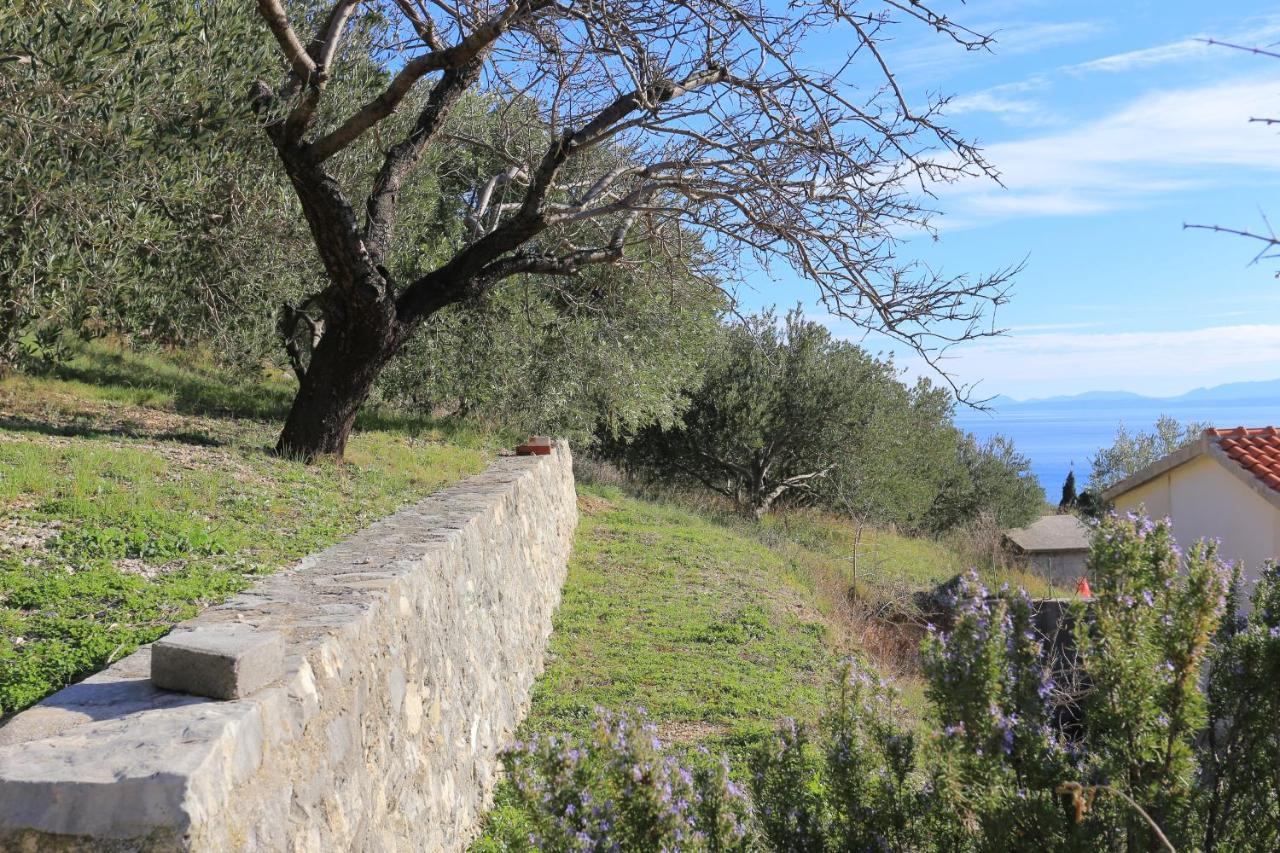 Apartments With A Parking Space Brela, Makarska - 18495 Екстер'єр фото